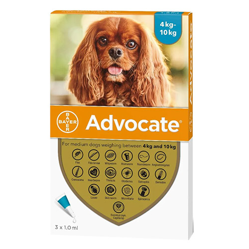 Advantage multi discount for small dogs