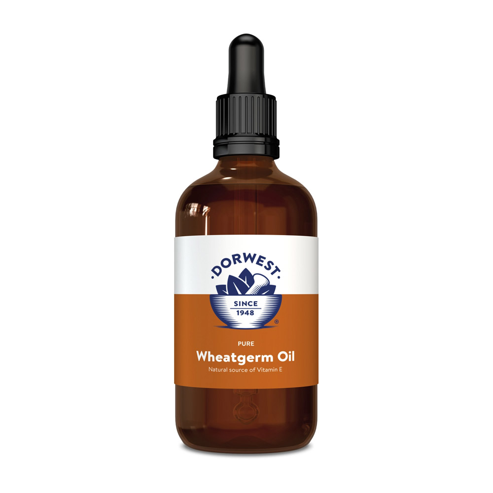 Dorwest-Wheatgerm-Oil-Liquid-for-Dogs-and-Cats-100ml_08102023_214327.jpg